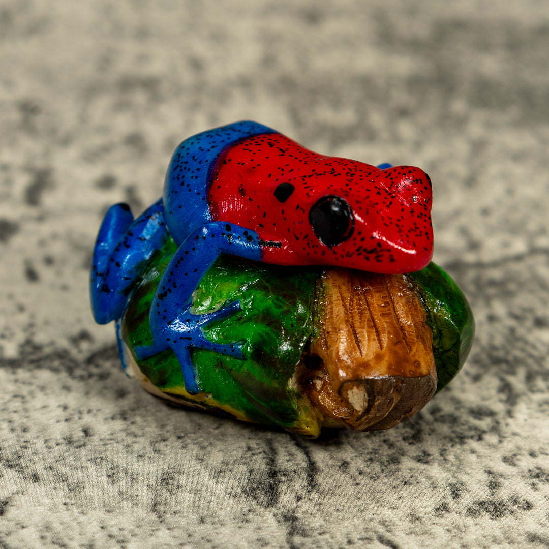 Red Blue And Green Poison Dart Frog Tagua Carving