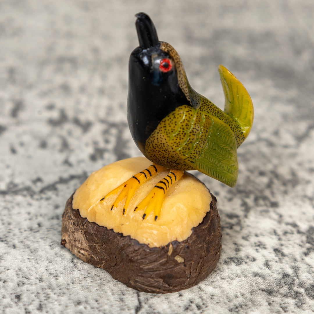 Seed Eater Bird Tagua Carving