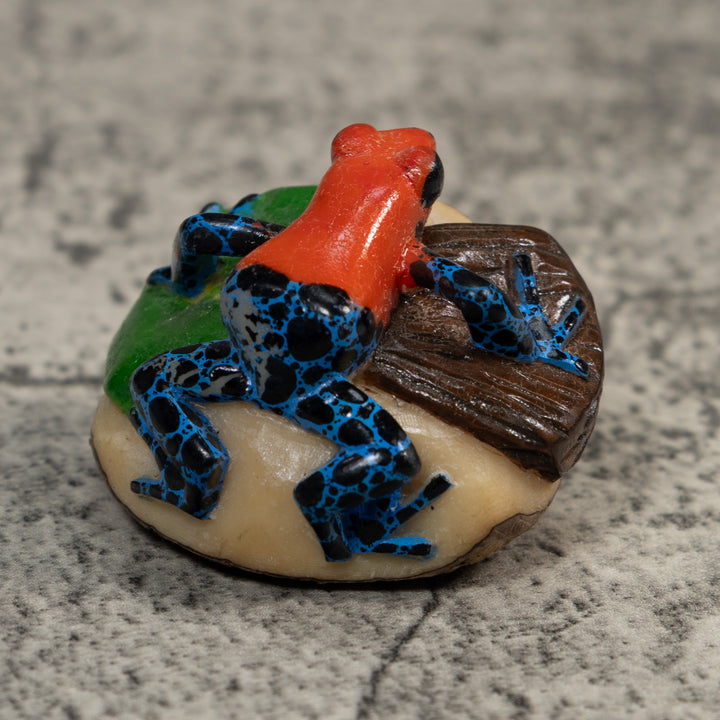 Red Blue And Black Poison Dart Frog Tagua Carving