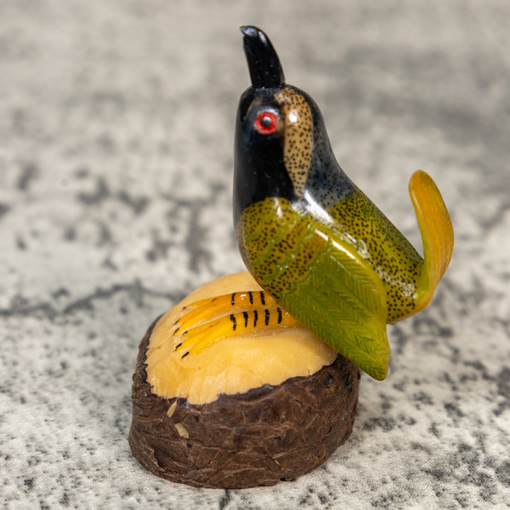 Seed Eater Bird Tagua Carving