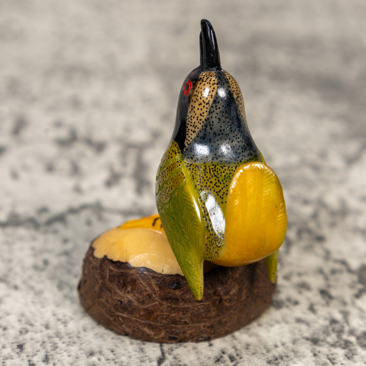Seed Eater Bird Tagua Carving