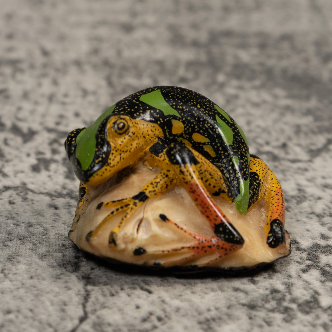 Vintage Gold Black And Green Frog Tagua Carving