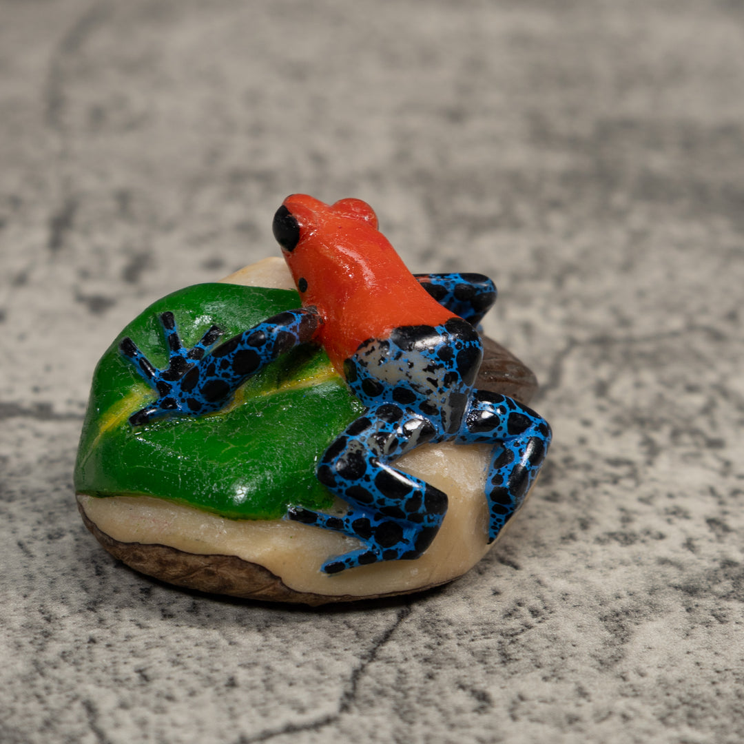 Red Blue And Black Poison Dart Frog Tagua Carving