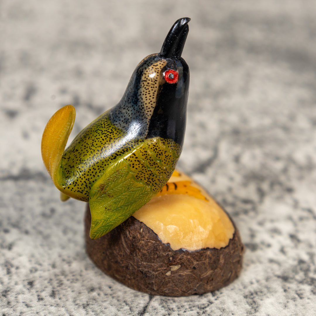 Seed Eater Bird Tagua Carving