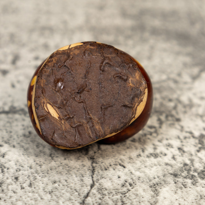 Vintage Brown And Yellow Snake Tagua Carving