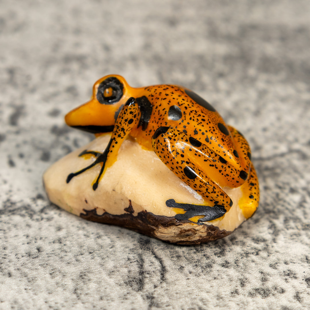 Gold And Black Poison Dart Frog Tagua Carving