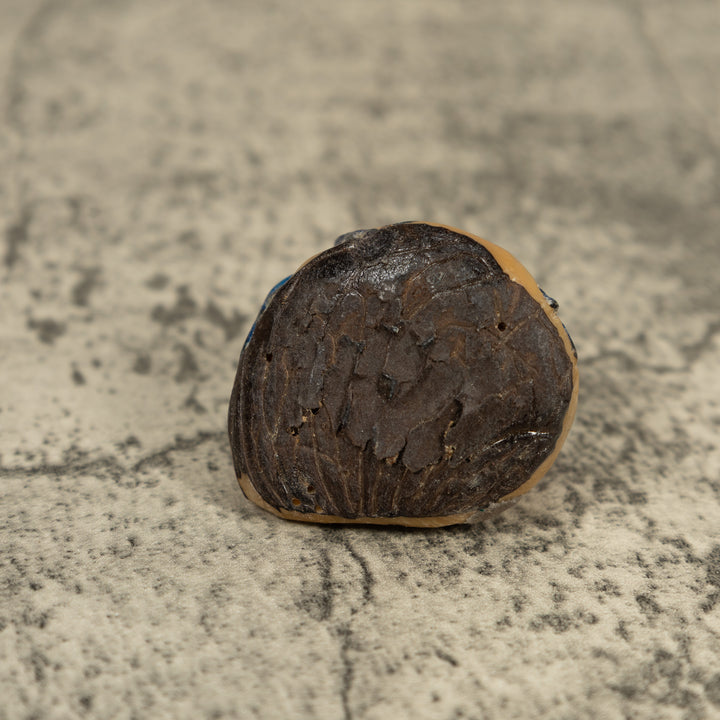 Vintage Red And Blue Poison Dart Frog Tagua Carving