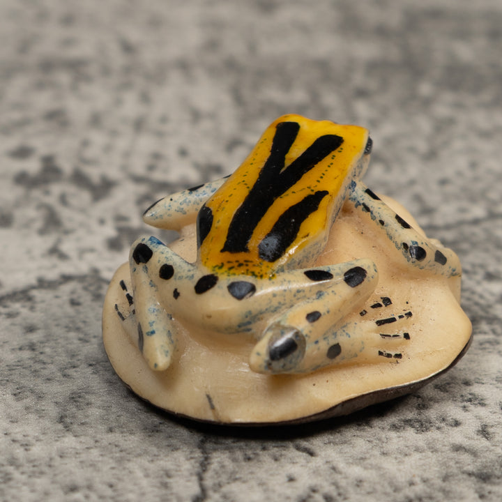 Gold Black And Blue Poison Dart Frog Tagua Carving