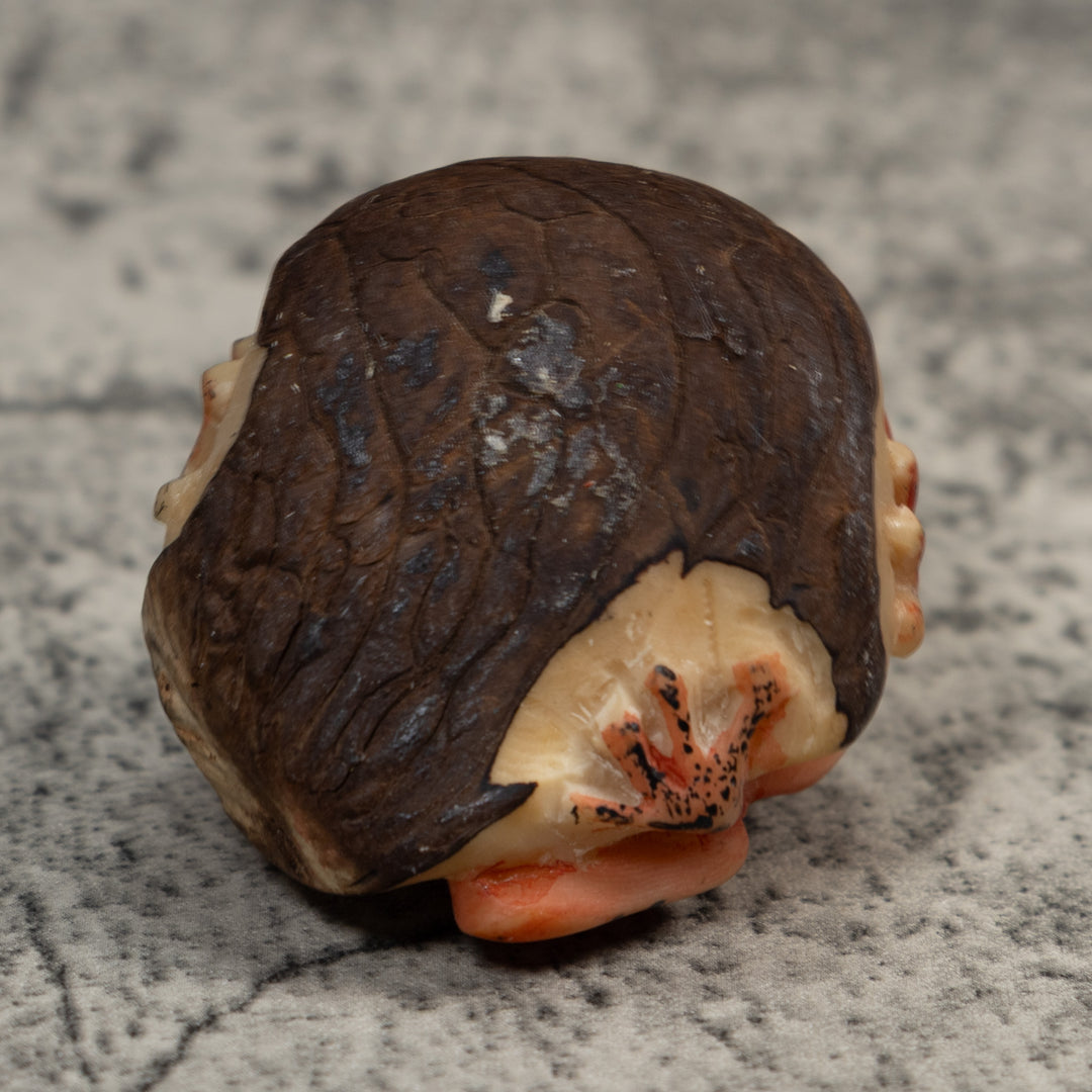 Vintage Orange And Black Anteater Tagua Carving