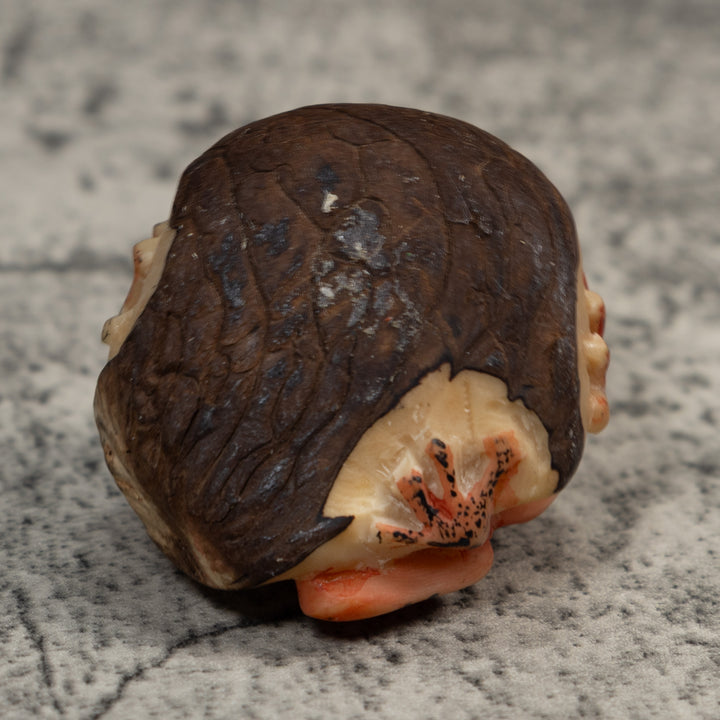 Vintage Orange And Black Anteater Tagua Carving