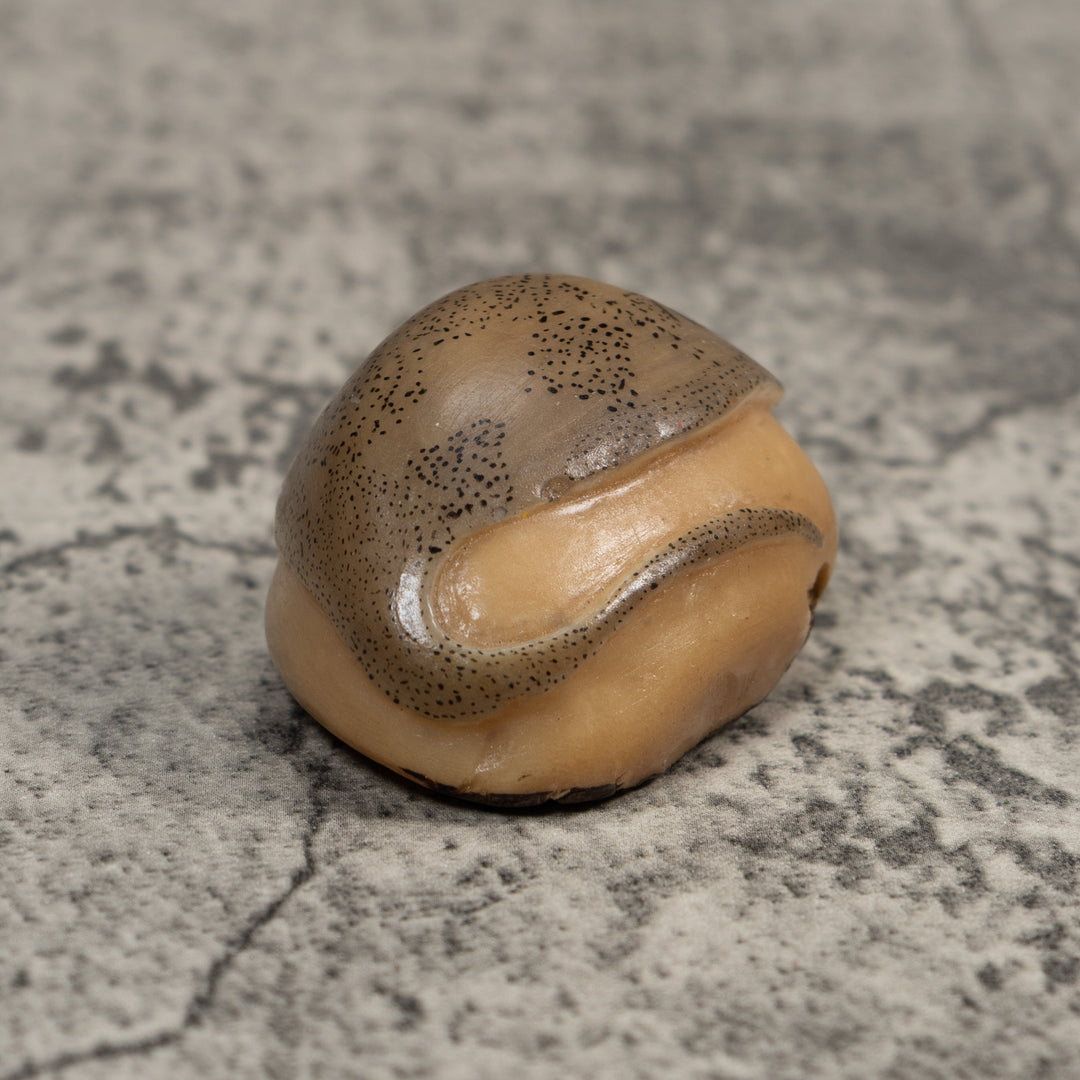 Vintage Ocean Stingray Tagua Carving