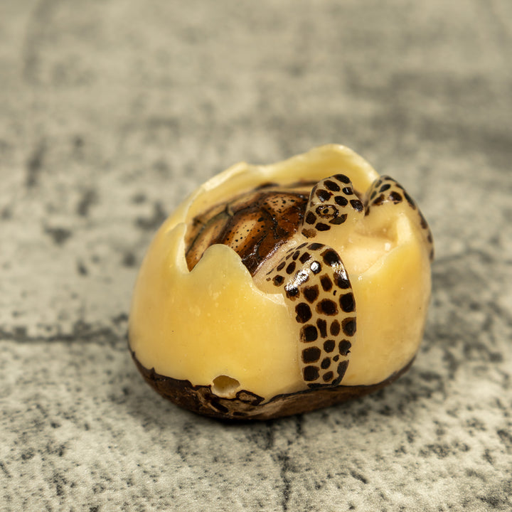Black And Brown Sea Turtle Emerging From Egg Tagua Carving