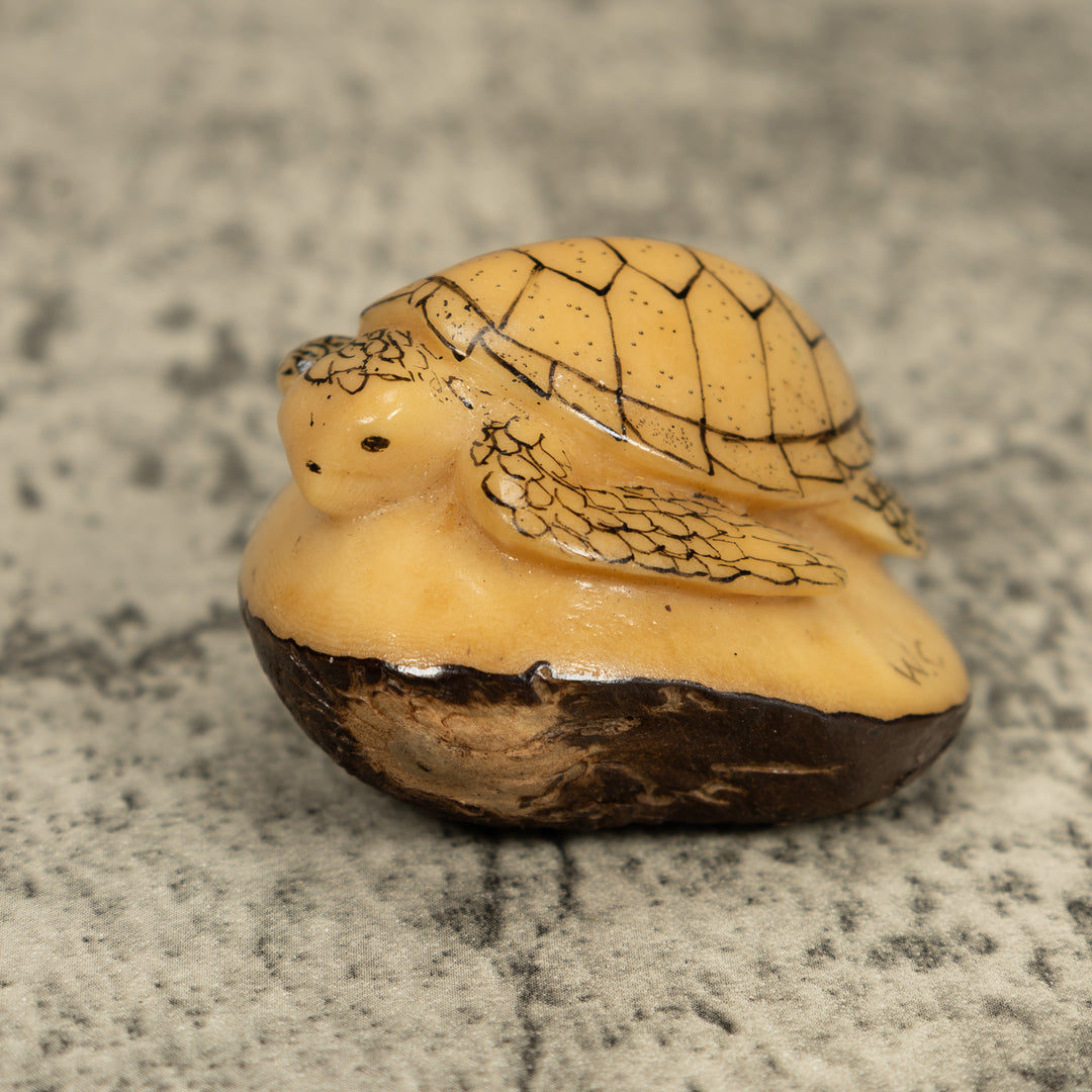 Vintage Black And White Sea Turtle Tagua Carving