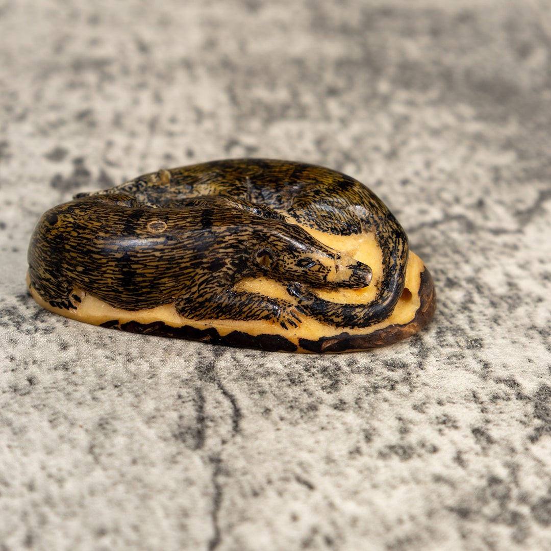 Double Coatimundi Tagua Carving