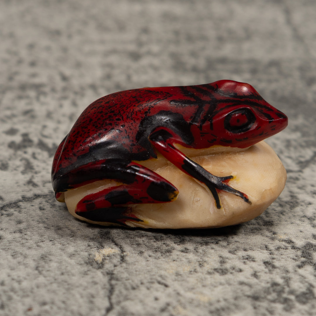 Vintage Red And Black Frog Tagua Carving