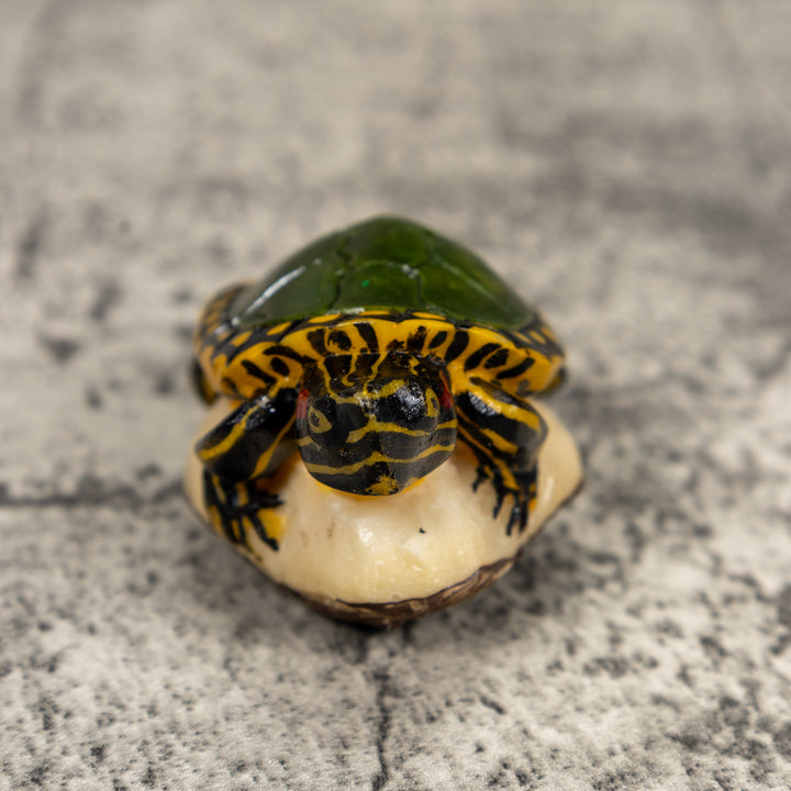 Green Yellow Tortoise Turtle Tagua Carving