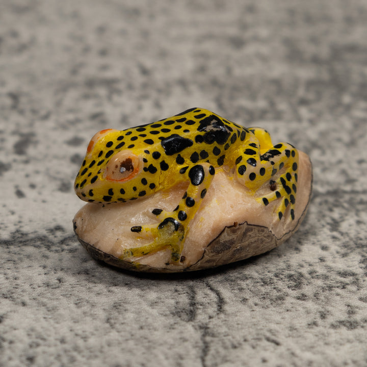 Vintage Yellow And Black Frog Tagua Carving