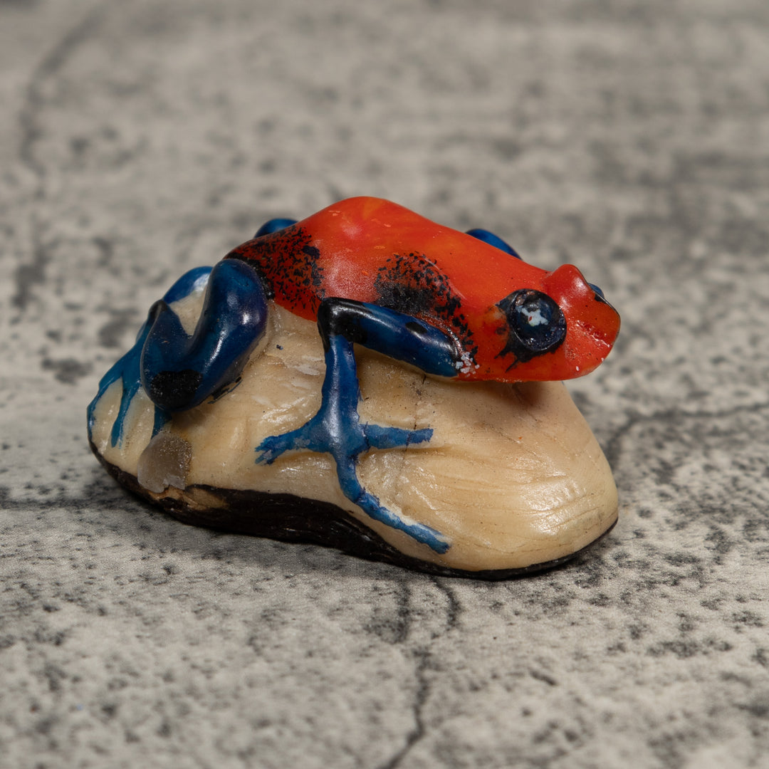 Red And Blue Poison Dart Frog Tagua Carving