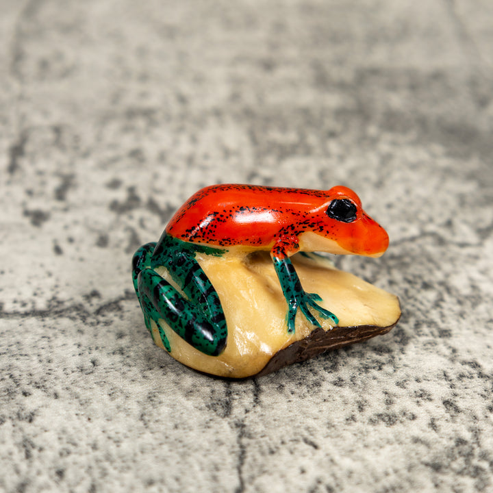 Red And Blue Poison Dart Frog Tagua Carving
