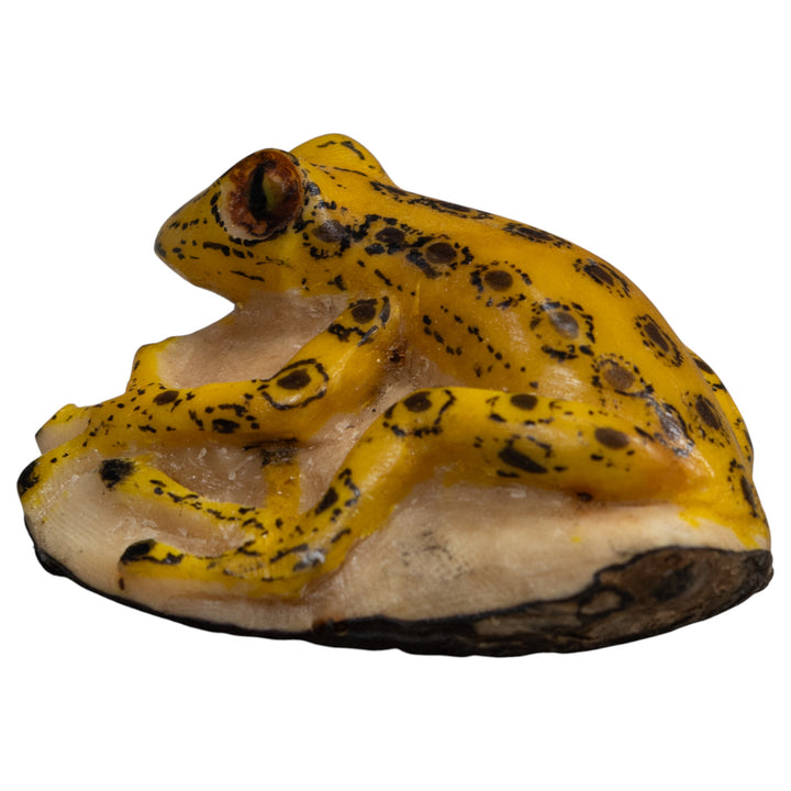 Vintage Yellow And Black Frog Tagua Carving