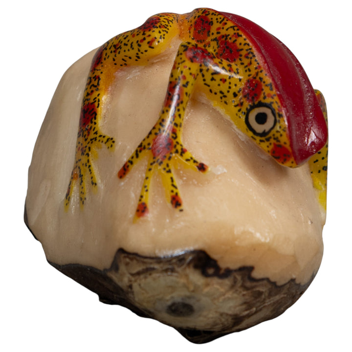 Red And Gold Poison Dart Frog Tagua Carving