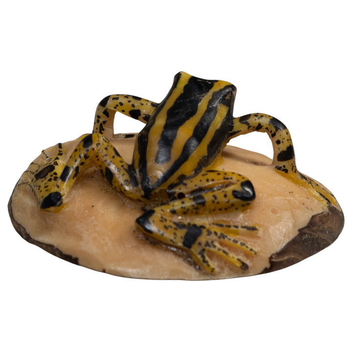 Vintage Black And Yellow Poison Dart Frog Tagua Carving