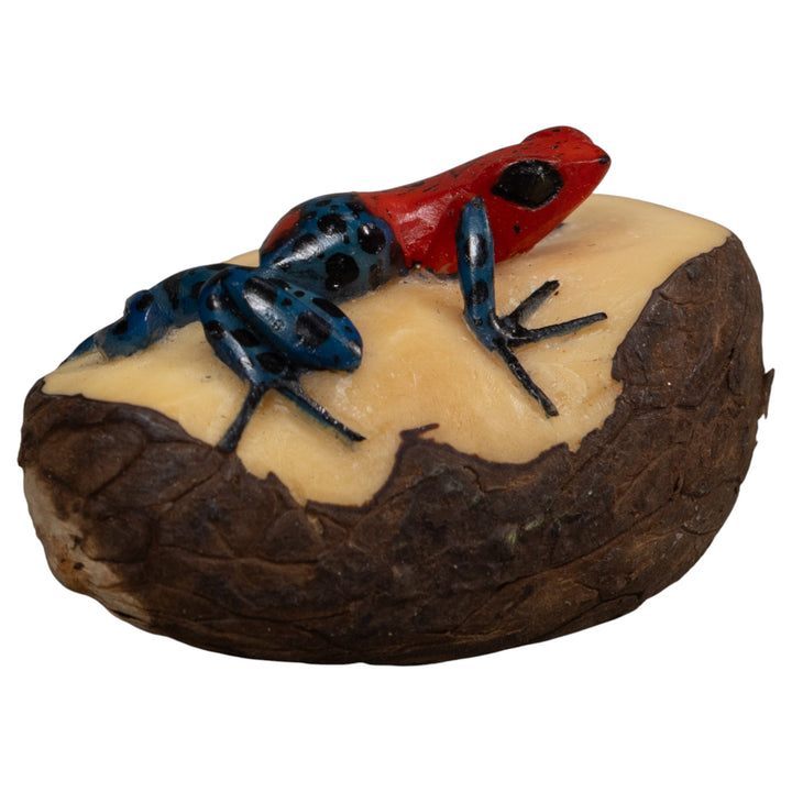 Red And Blue Poison Dart Frog Tagua Carving