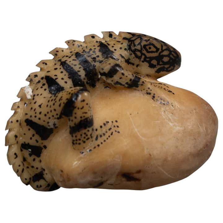 Vintage White And Black Iguana Lizard Tagua Carving