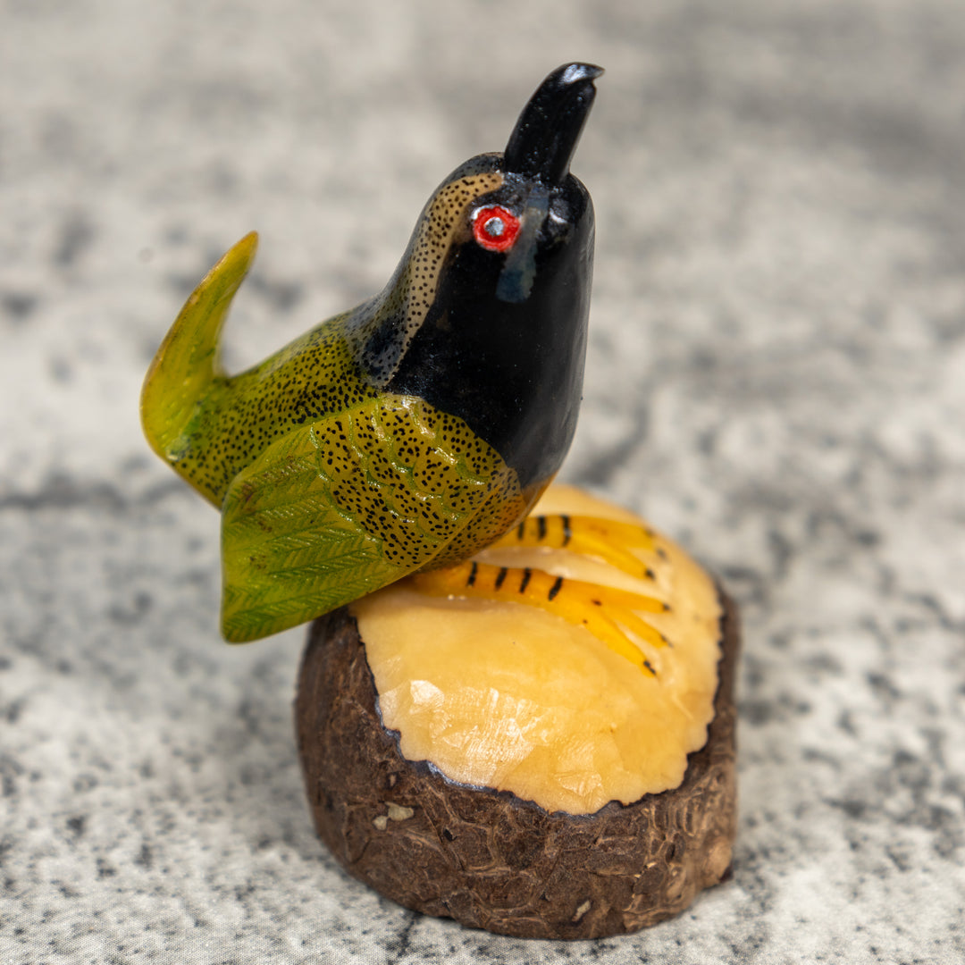 Seed Eater Bird Tagua Carving