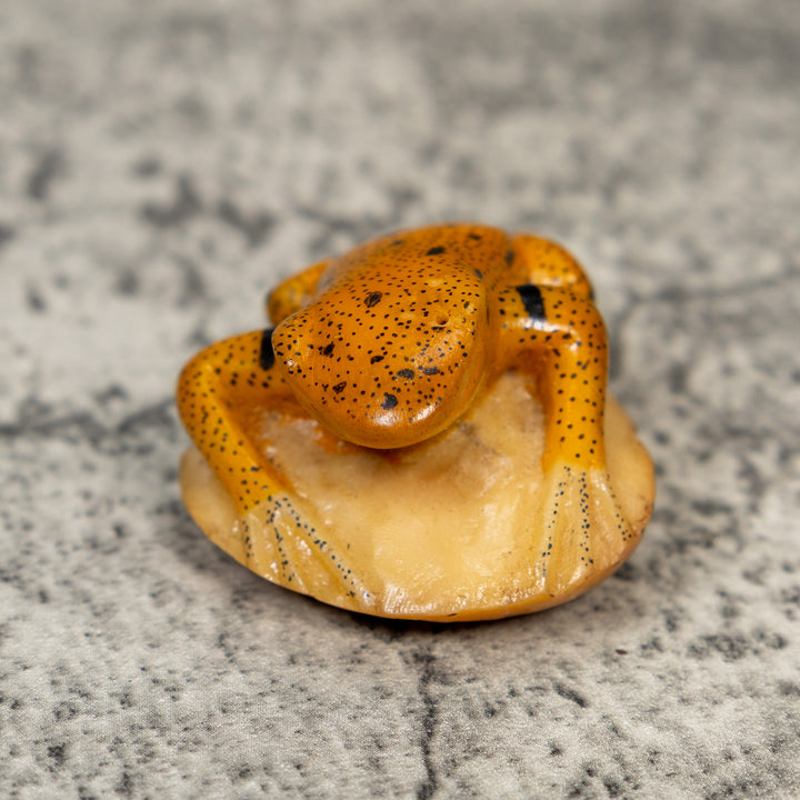 Gold And Black Frog Tagua Carving