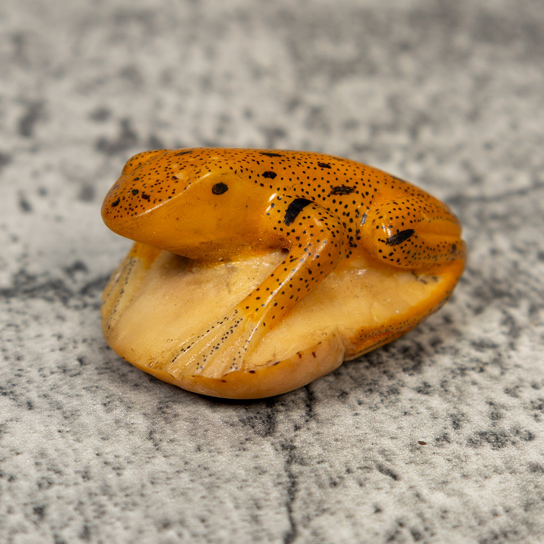 Gold And Black Frog Tagua Carving