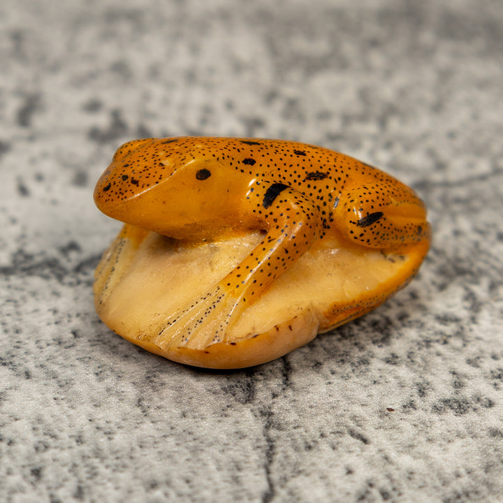 Gold And Black Frog Tagua Carving