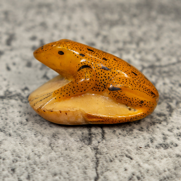 Gold And Black Frog Tagua Carving
