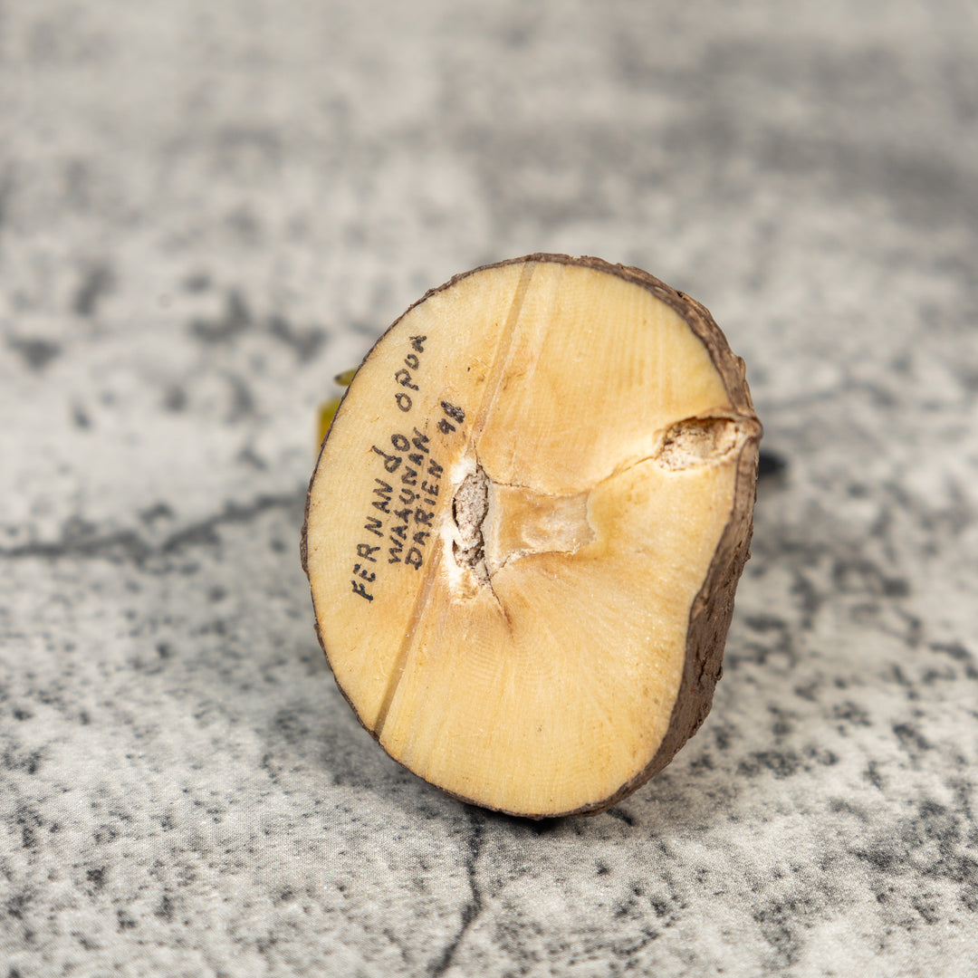 Seed Eater Bird Tagua Carving