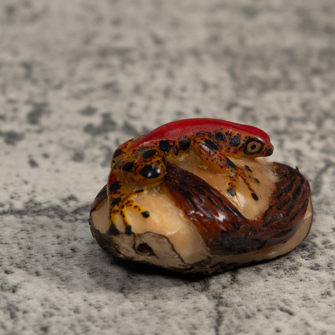 Red Gold And Black Poison Dart Frog Tagua Carving