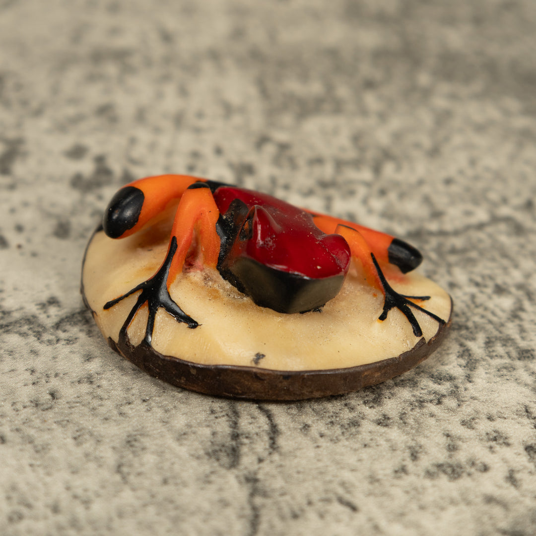 Orange Black And Red Poison Dart Frog Tagua Carving