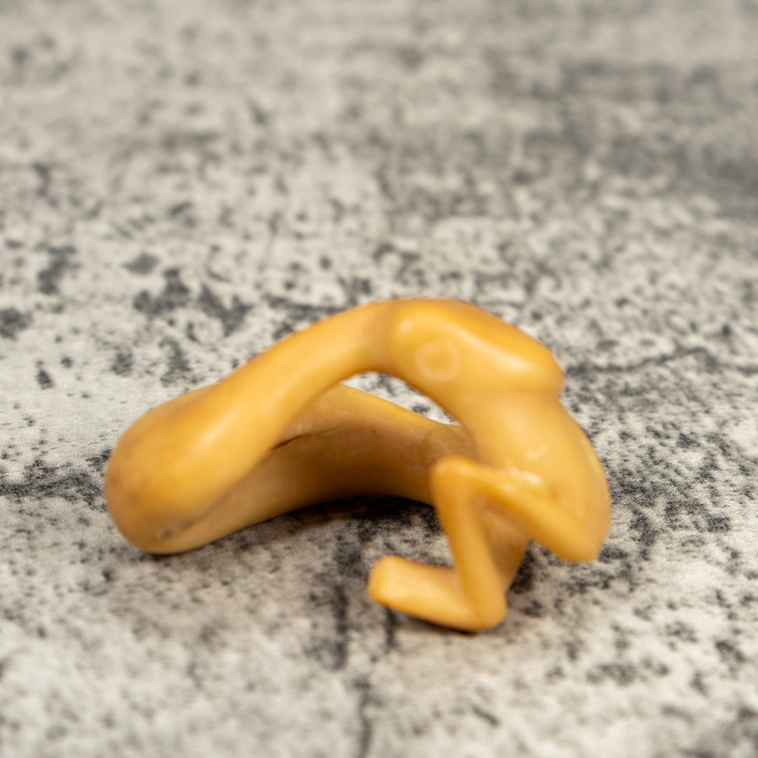 Natural White Snake Eating Frog Tagua Carving