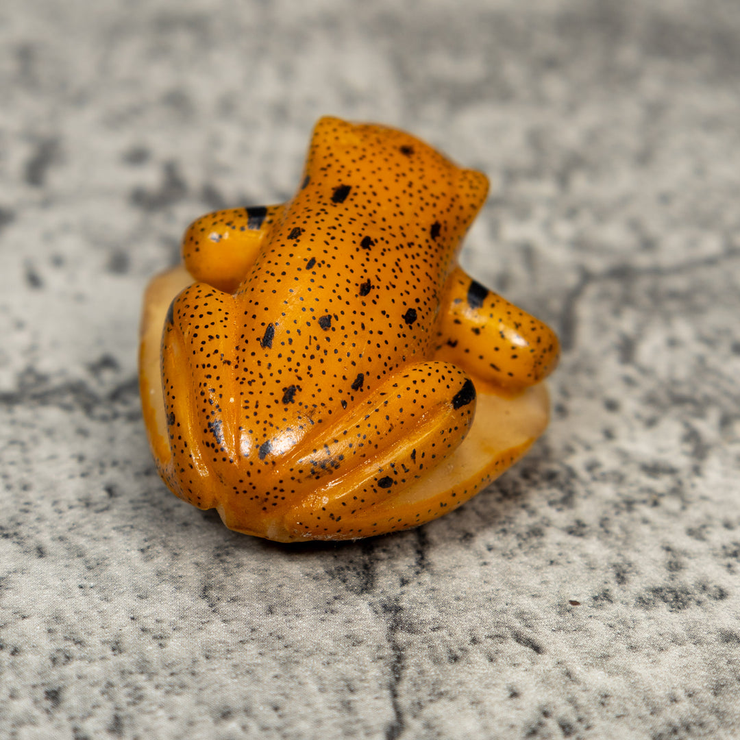 Gold And Black Frog Tagua Carving