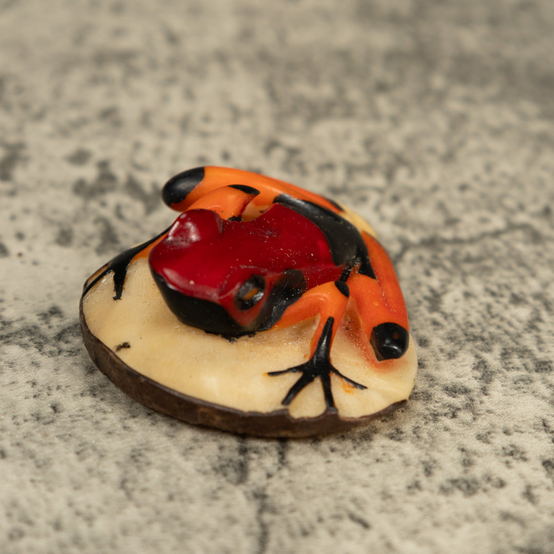 Orange Black And Red Poison Dart Frog Tagua Carving