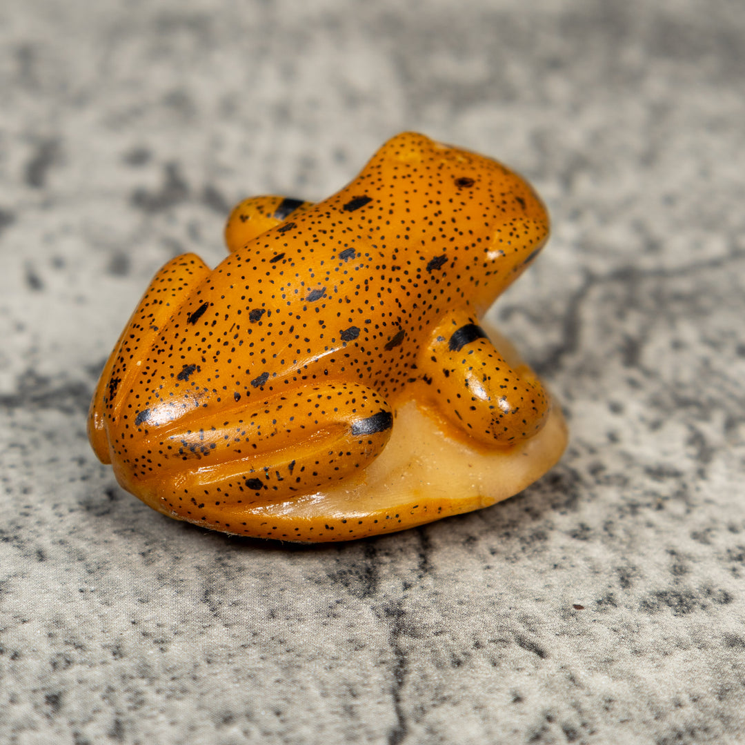 Gold And Black Frog Tagua Carving