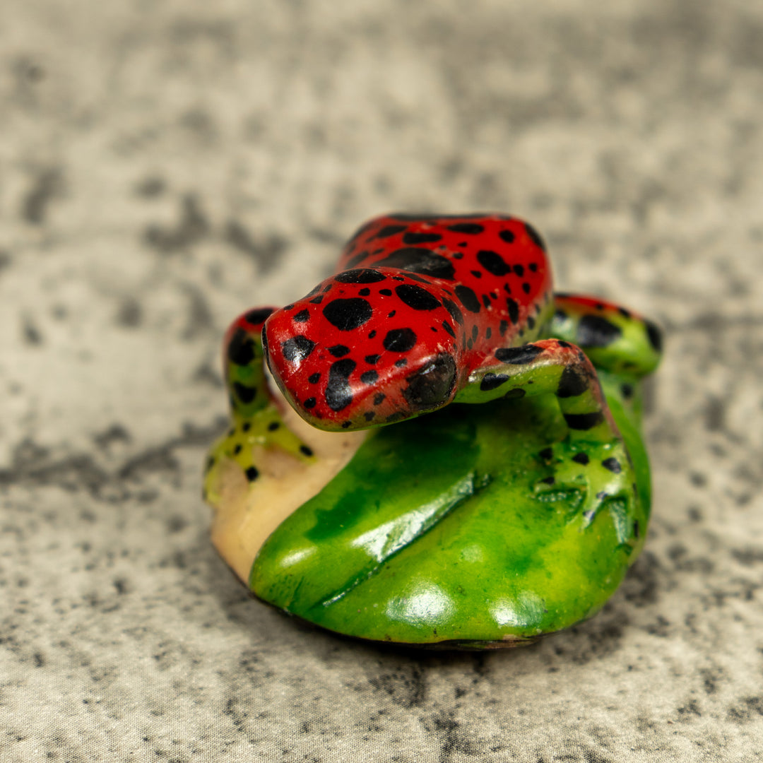 Red And Black Poison Dart Frog Tagua Carving
