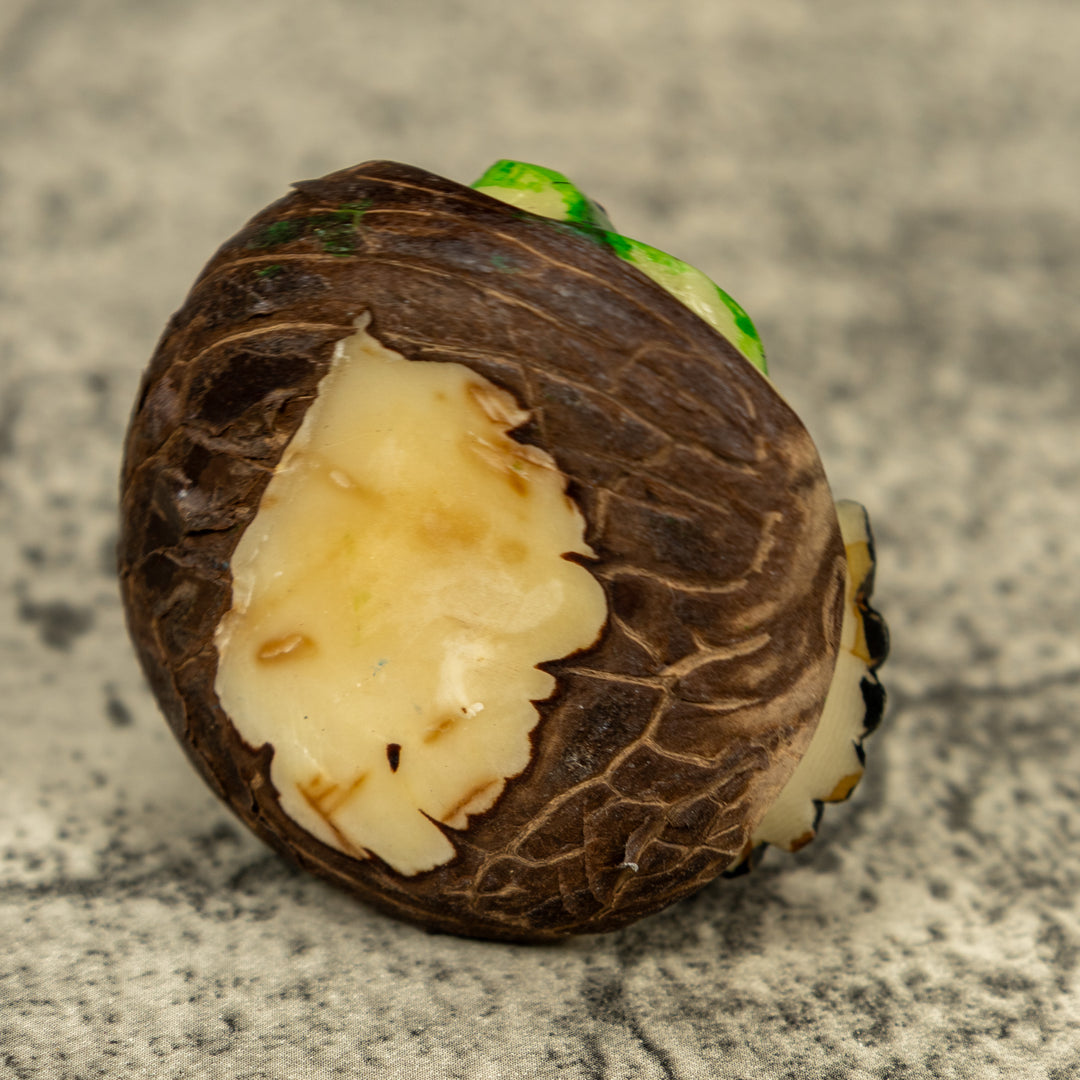 Hummingbird Tagua Carving