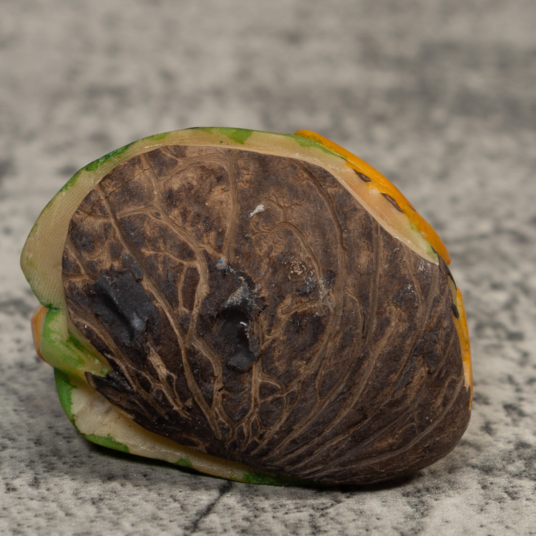 Golden Frog Tagua Carving