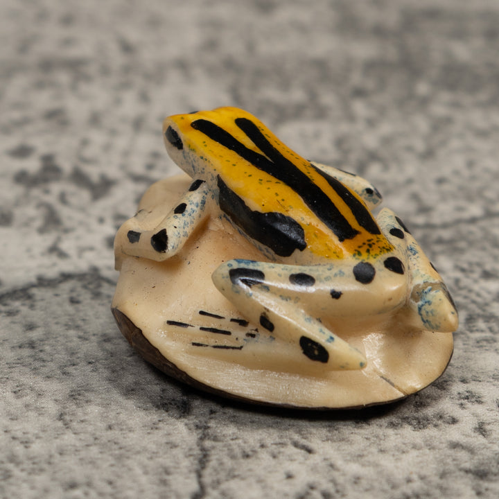 Gold Black And Blue Poison Dart Frog Tagua Carving