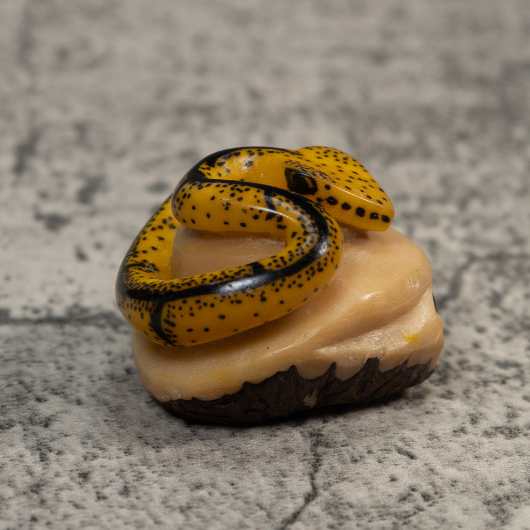 Black And Tan Bush Master Snake Tagua Carving