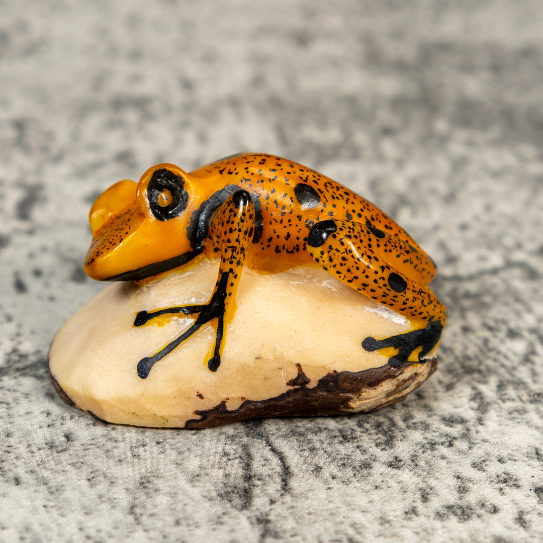 Gold And Black Poison Dart Frog Tagua Carving