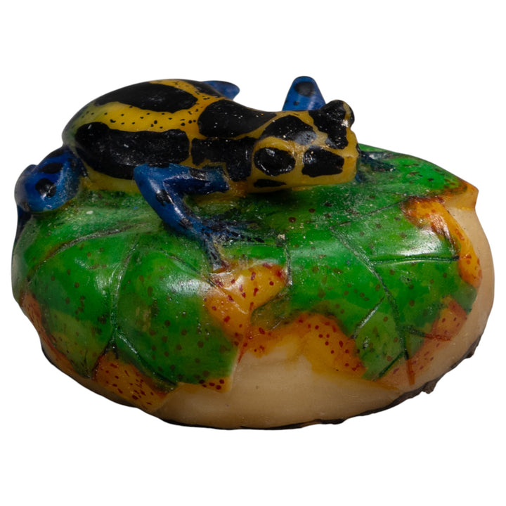 Black Blue And Yellow Poison Dart Frog Tagua Carving