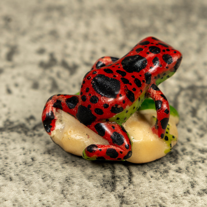 Red And Black Poison Dart Frog Tagua Carving