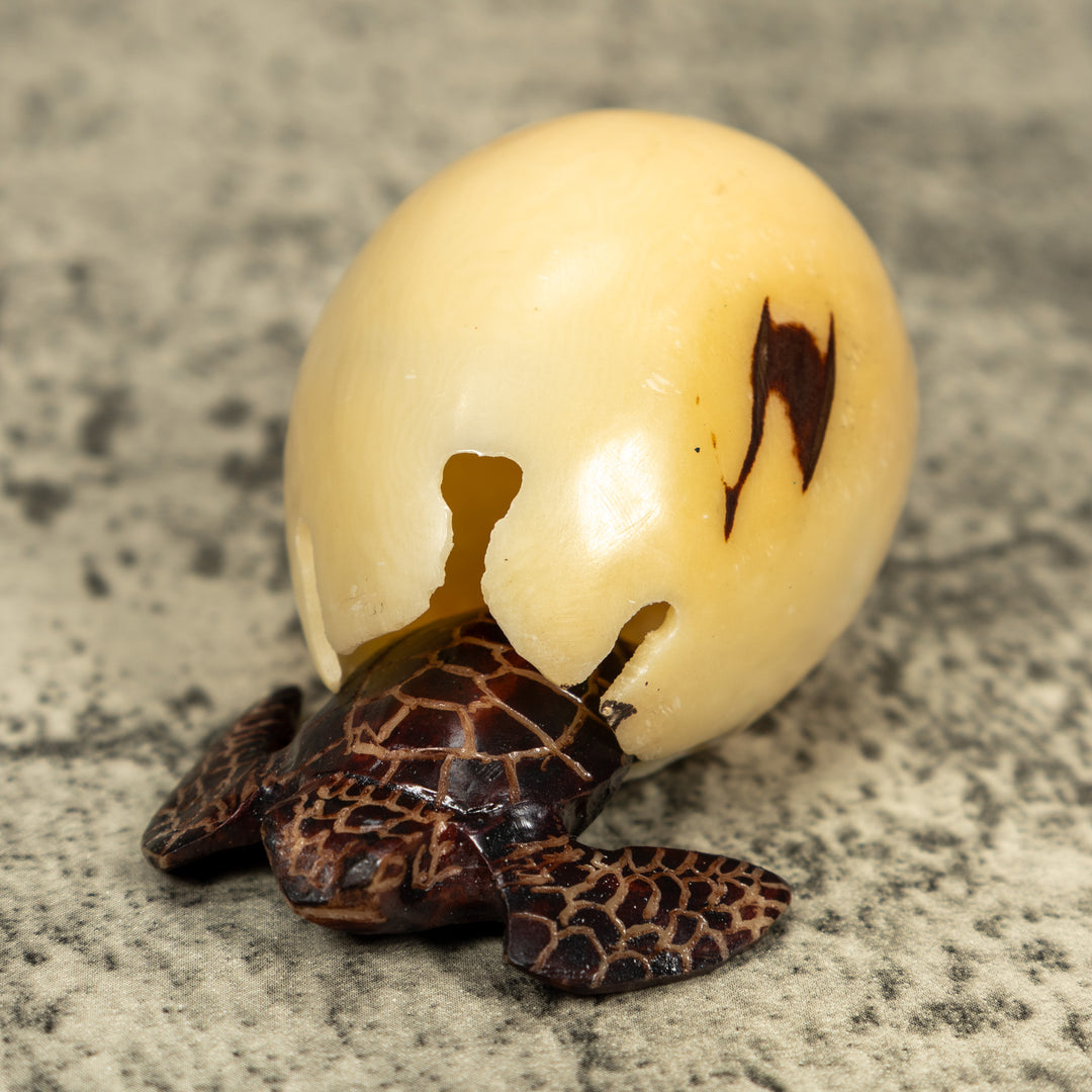 Sea Turtle And Removable Egg Tagua Carving