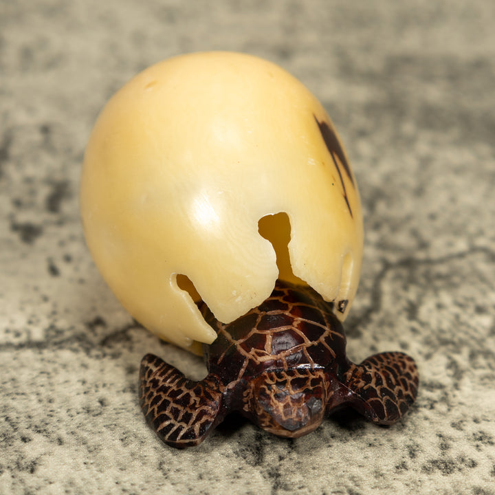 Sea Turtle And Removable Egg Tagua Carving
